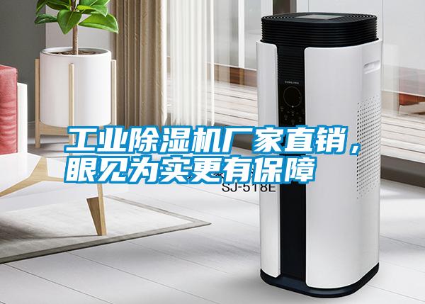 工業(yè)除濕機廠家直銷，眼見為實更有保障
