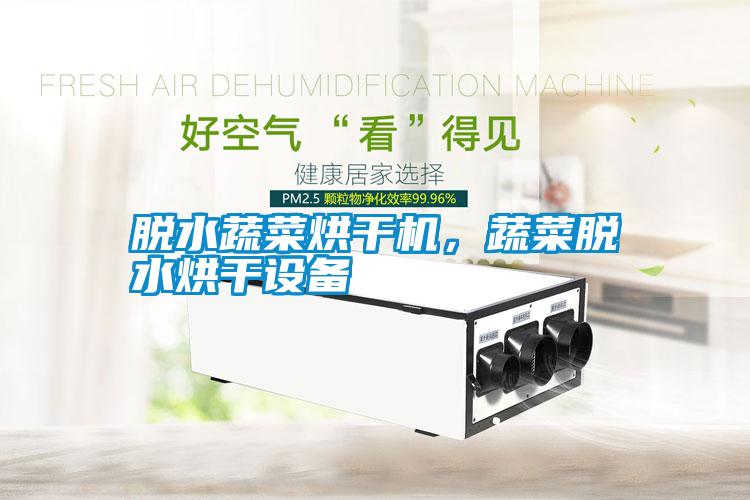 脫水蔬菜烘干機(jī)，蔬菜脫水烘干設(shè)備