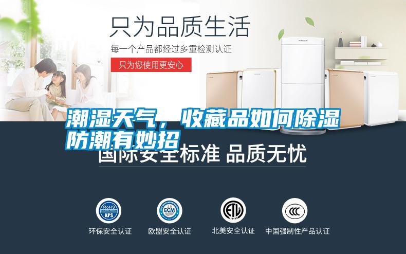 潮濕天氣，收藏品如何除濕防潮有妙招