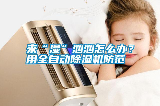 來“濕”洶洶怎么辦？用全自動除濕機防范