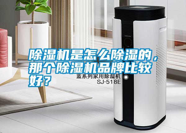 除濕機(jī)是怎么除濕的，那個(gè)除濕機(jī)品牌比較好？