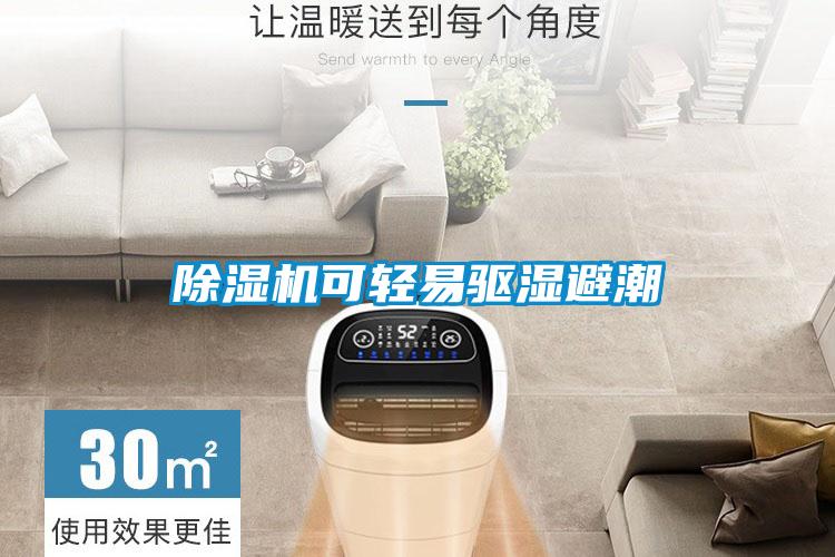 除濕機可輕易驅(qū)濕避潮