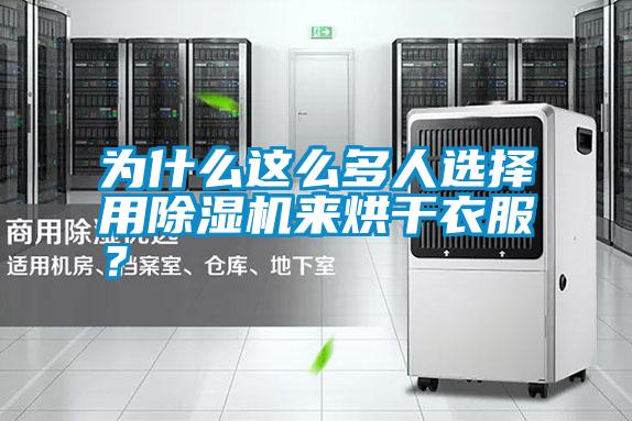 為什么這么多人選擇用除濕機來烘干衣服？