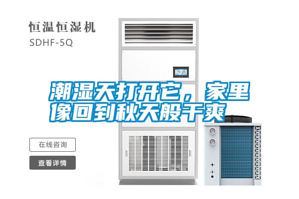 潮濕天打開它，家里像回到秋天般干爽