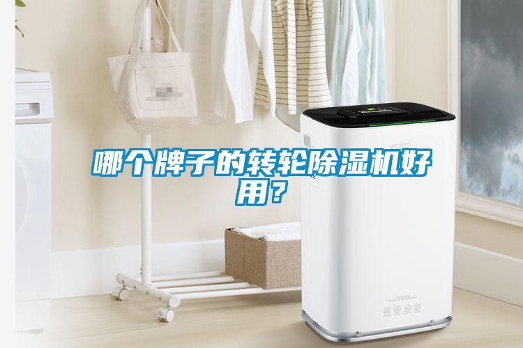 哪個牌子的轉輪除濕機好用？