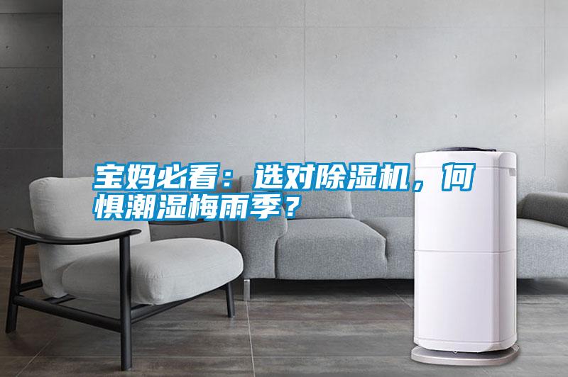 寶媽必看：選對除濕機(jī)，何懼潮濕梅雨季？