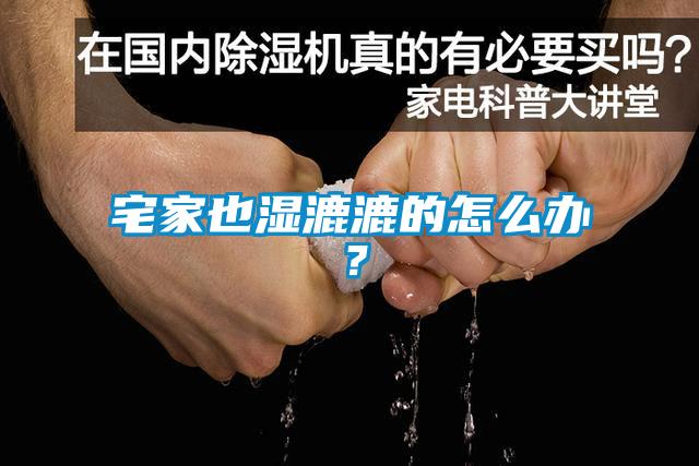宅家也濕漉漉的怎么辦？