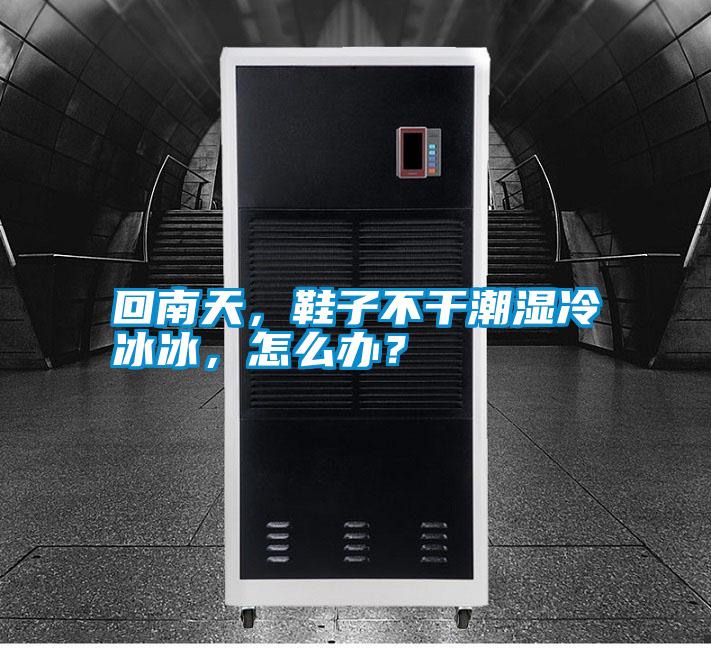 回南天，鞋子不干潮濕冷冰冰，怎么辦？