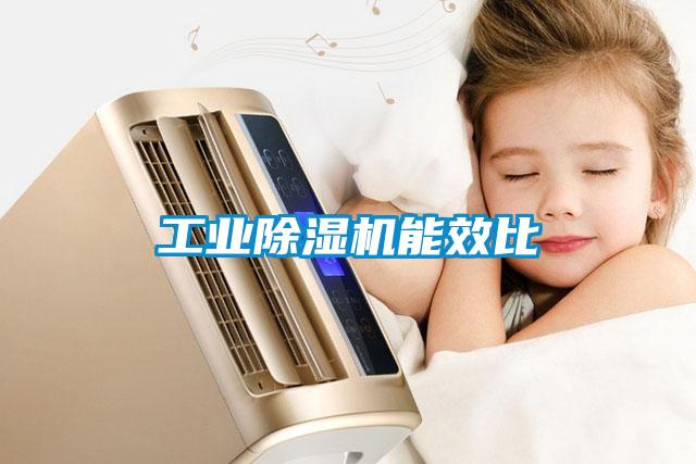 工業(yè)除濕機能效比