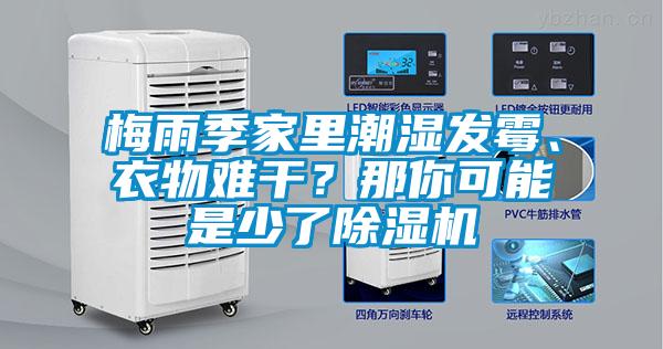 梅雨季家里潮濕發(fā)霉、衣物難干？那你可能是少了除濕機