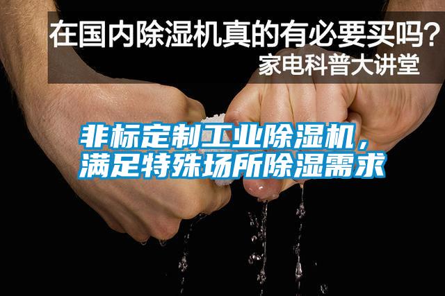 非標(biāo)定制工業(yè)除濕機(jī)，滿足特殊場所除濕需求