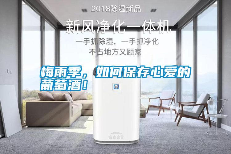 梅雨季，如何保存心愛的葡萄酒！