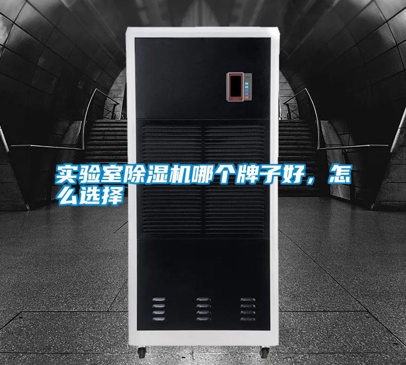 實(shí)驗(yàn)室除濕機(jī)哪個(gè)牌子好，怎么選擇