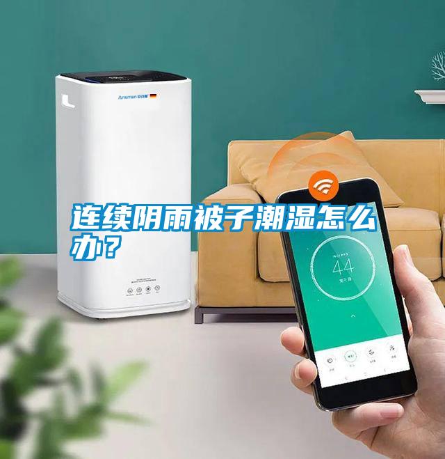 連續(xù)陰雨被子潮濕怎么辦？