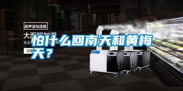 怕什么回南天和黃梅天？