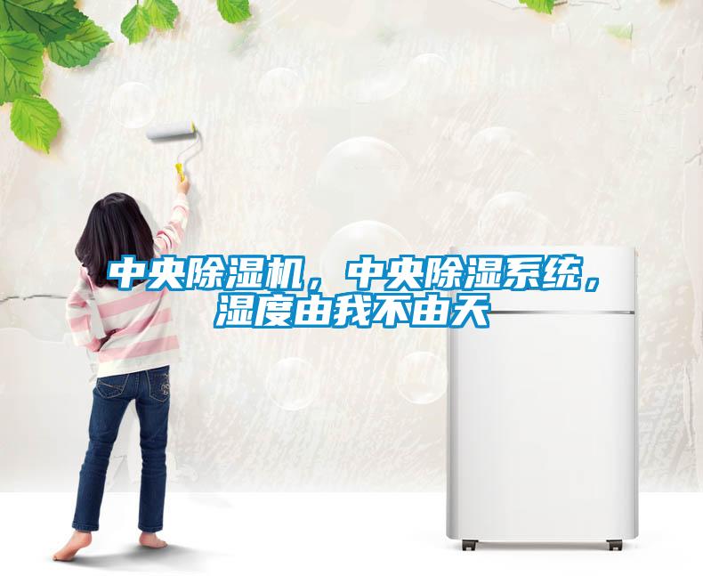 中央除濕機(jī)，中央除濕系統(tǒng)，濕度由我不由天
