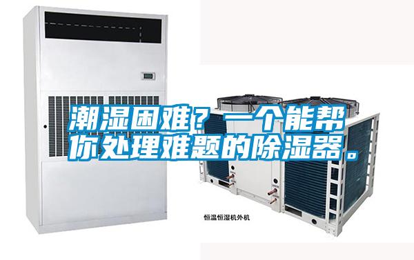 潮濕困難？一個能幫你處理難題的除濕器。