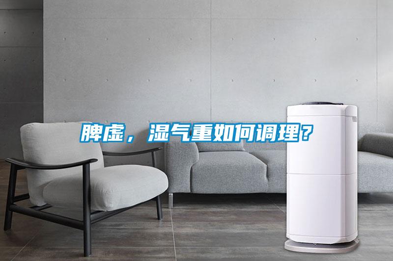 脾虛，濕氣重如何調(diào)理？