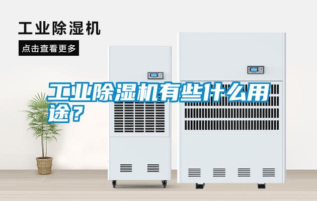 工業(yè)除濕機(jī)有些什么用途？