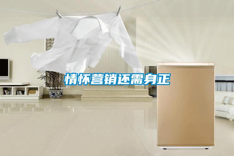 情懷營(yíng)銷還需身正