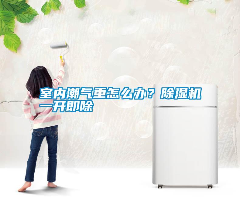 室內(nèi)潮氣重怎么辦？除濕機(jī)一開即除