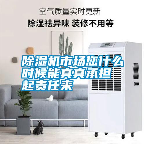除濕機(jī)市場(chǎng)您什么時(shí)候能真真承擔(dān)起責(zé)任來