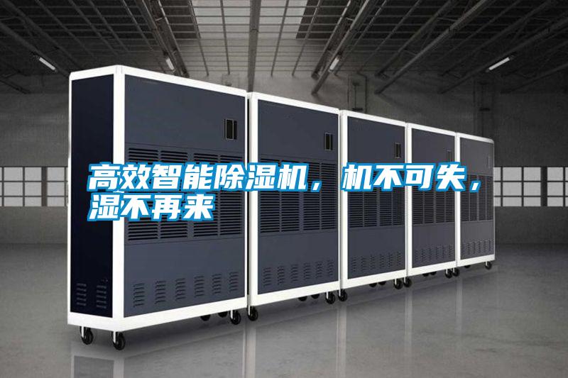 高效智能除濕機(jī)，機(jī)不可失，濕不再來