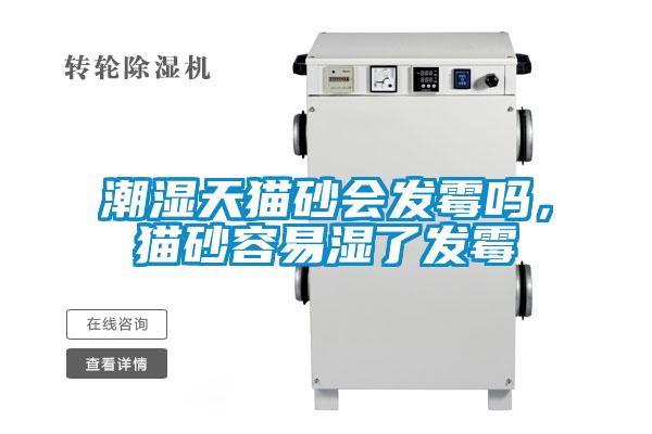 潮濕天貓砂會(huì)發(fā)霉嗎，貓砂容易濕了發(fā)霉