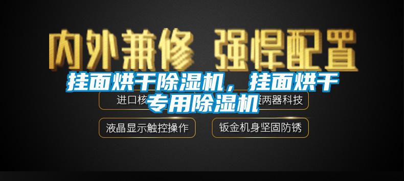 掛面烘干除濕機(jī)，掛面烘干專用除濕機(jī)
