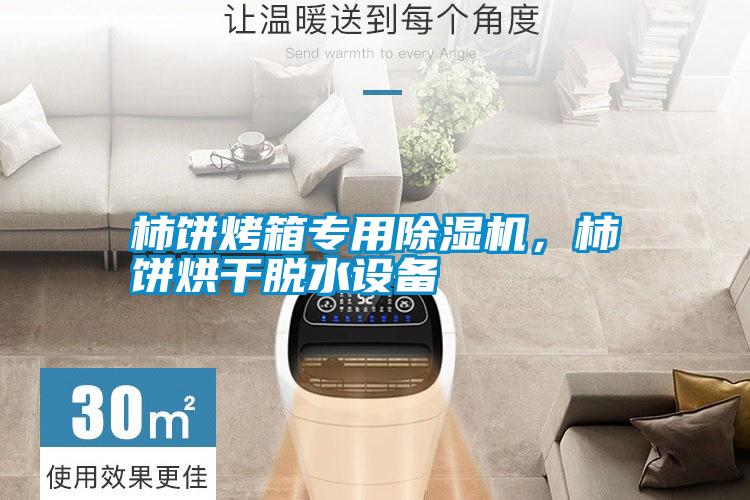 柿餅烤箱專用除濕機，柿餅烘干脫水設(shè)備