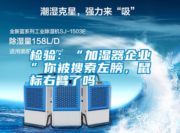 檢驗(yàn)：“加濕器企業(yè)”你被搜索左膀，鼠標(biāo)右臂了嗎