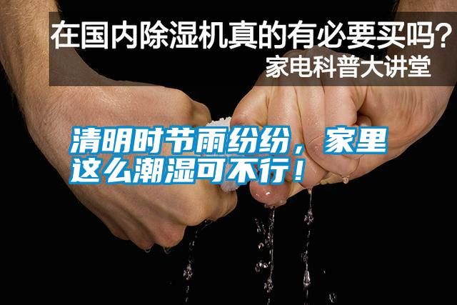 清明時節(jié)雨紛紛，家里這么潮濕可不行！