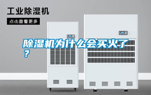 除濕機(jī)為什么會(huì)買(mǎi)火了？