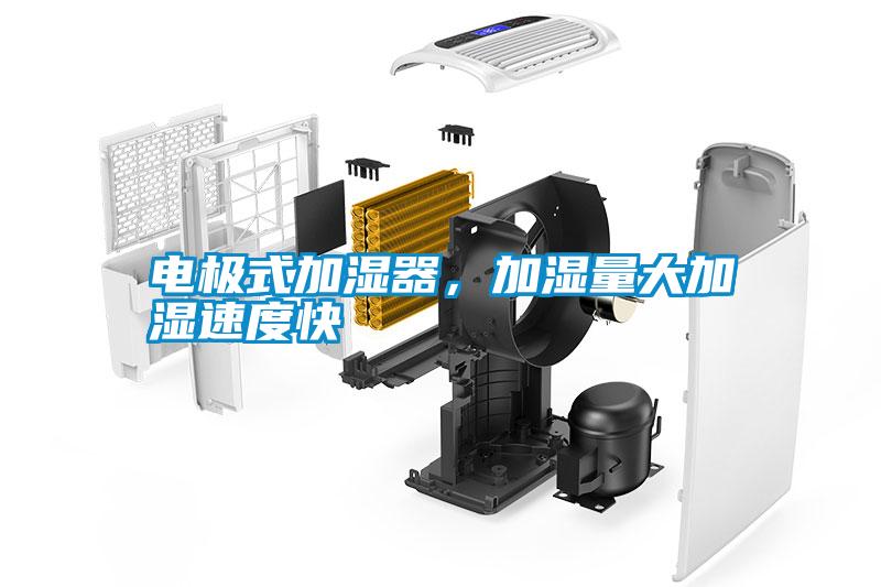電極式加濕器，加濕量大加濕速度快