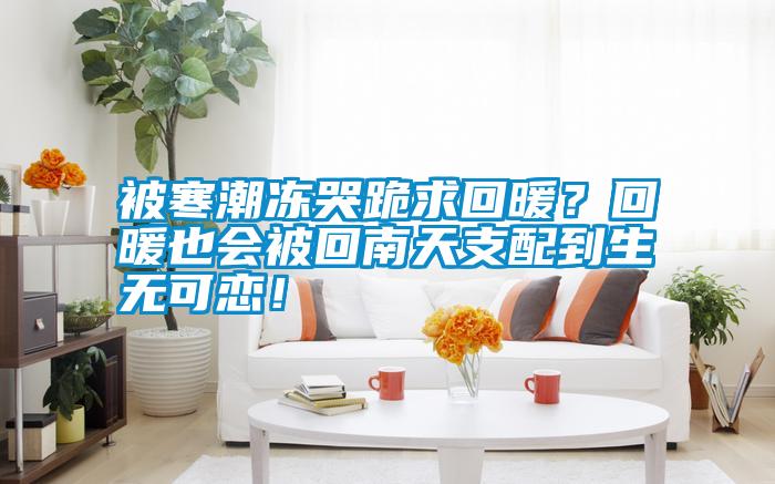 被寒潮凍哭跪求回暖？回暖也會(huì)被回南天支配到生無(wú)可戀！