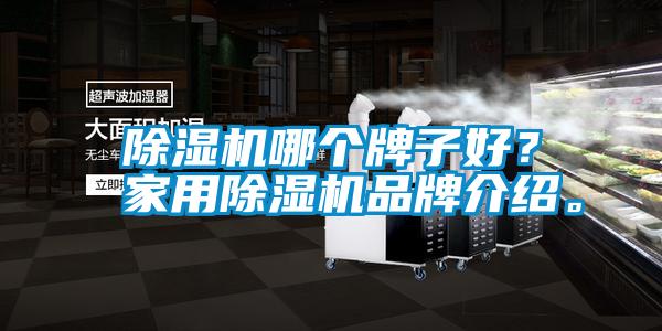 除濕機哪個牌子好？家用除濕機品牌介紹。