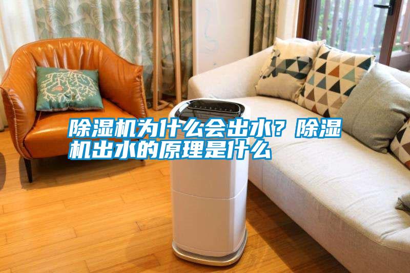 除濕機(jī)為什么會(huì)出水？除濕機(jī)出水的原理是什么