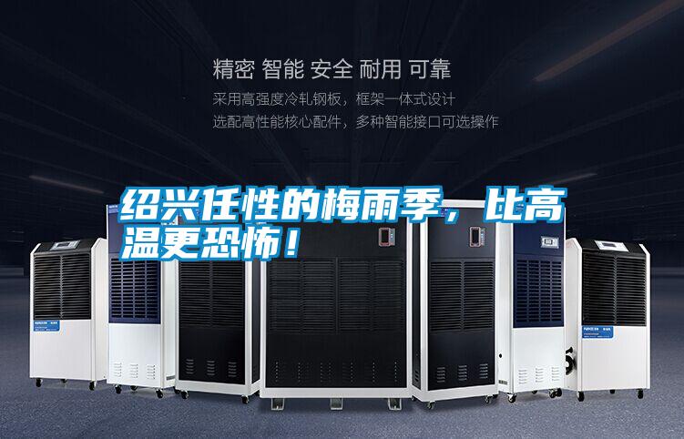 紹興任性的梅雨季，比高溫更恐怖！
