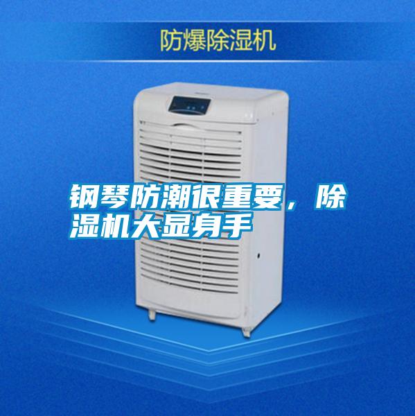 鋼琴防潮很重要，除濕機大顯身手
