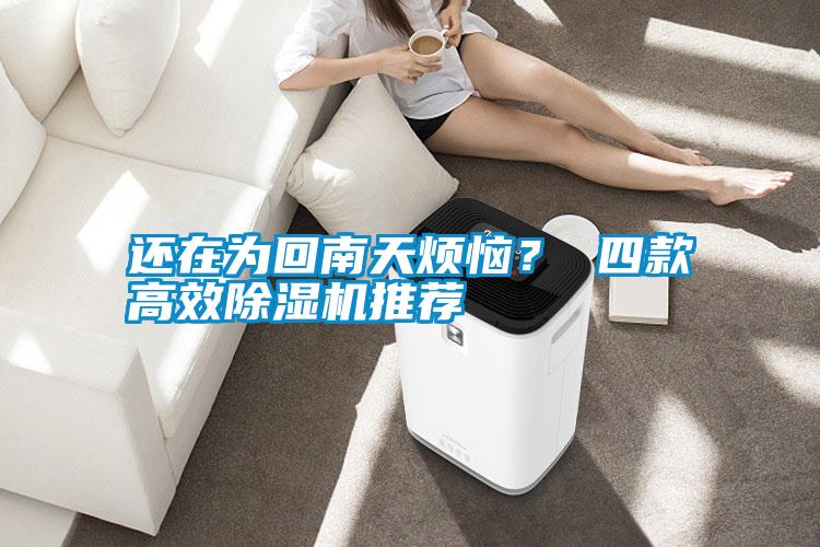還在為回南天煩惱？ 四款高效除濕機(jī)推薦
