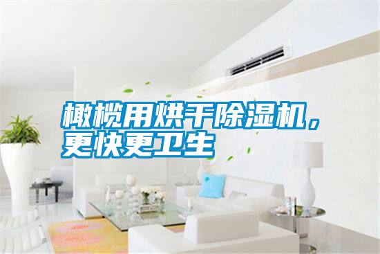 橄欖用烘干除濕機(jī)，更快更衛(wèi)生