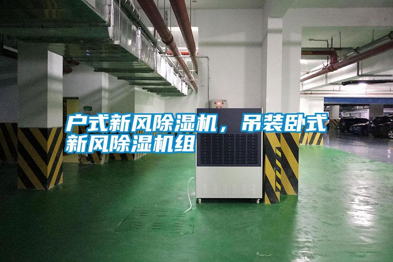 戶(hù)式新風(fēng)除濕機(jī)，吊裝臥式新風(fēng)除濕機(jī)組