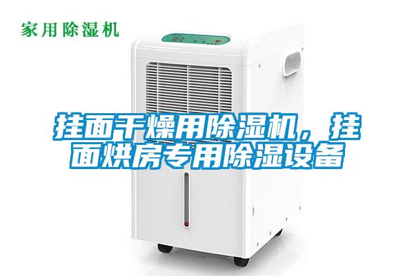 掛面干燥用除濕機(jī)，掛面烘房專用除濕設(shè)備