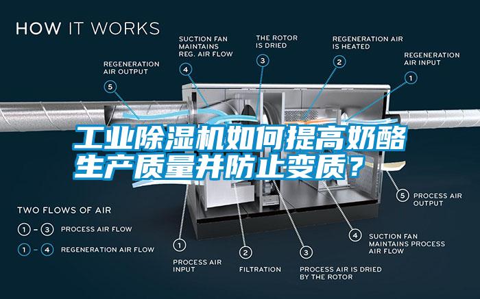 工業(yè)除濕機(jī)如何提高奶酪生產(chǎn)質(zhì)量并防止變質(zhì)？