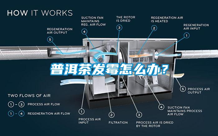 普洱茶發(fā)霉怎么辦？