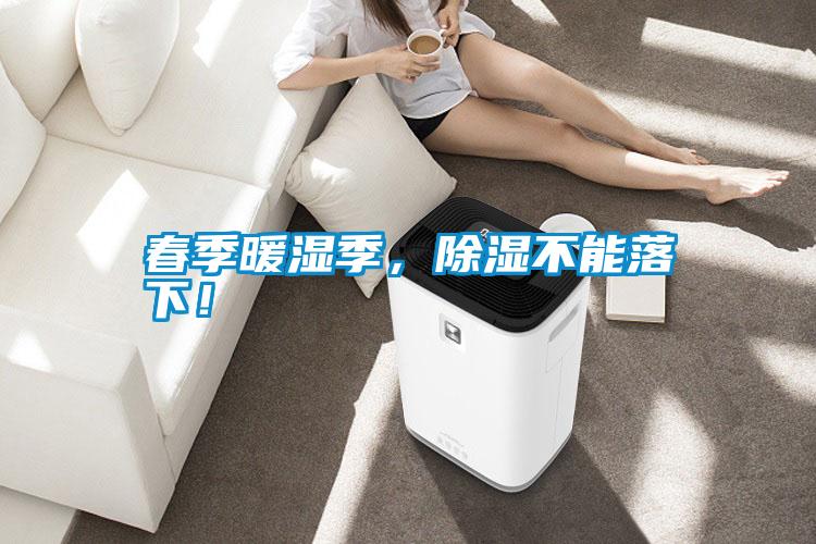 春季暖濕季，除濕不能落下！