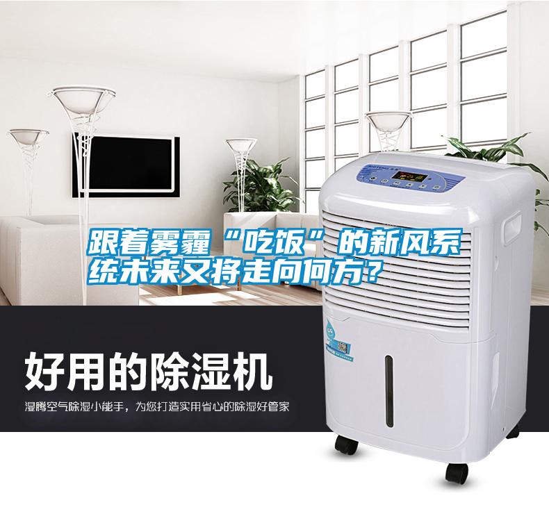 跟著霧霾“吃飯”的新風(fēng)系統(tǒng)未來(lái)又將走向何方？