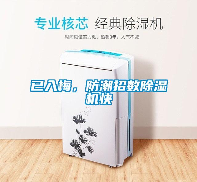 已入梅，防潮招數(shù)除濕機(jī)快