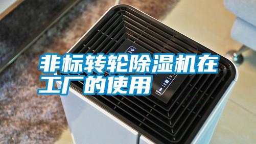 非標轉(zhuǎn)輪除濕機在工廠的使用
