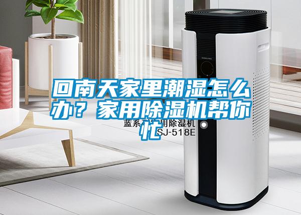 回南天家里潮濕怎么辦？家用除濕機幫你忙